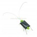 Solar Powered Grasshopper 5 pieces/pack by YIDEA