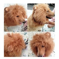 Pet Costume Lion Mane Wig with Ears