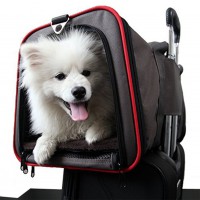 Pet Carrier Breathable Handbag