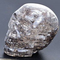 3D Skull Skeleton DIY Jigsaw Assembly Toy