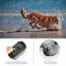 Dog Training Collar Rechargeable Waterproof Remote Dog Shock Collar with Beep 1 in 2 US plug