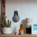 For Google Home Mini Wall Mount Holder