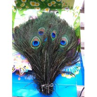100pcs Real Natural Peacock Feathers
